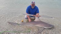 Sharkaholics - Eric Lane