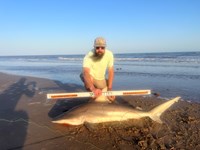 Just Bitten Shark Fishing Team - Guy Havel