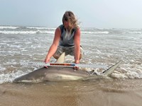 Just Bitten Shark Fishing Team - James Dickey