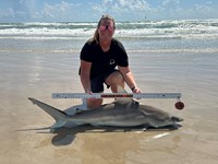 KASH FISHING - Ashley Meadows