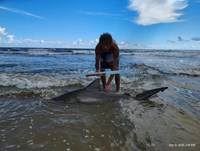 Shark at the Moon - Erik Schneider