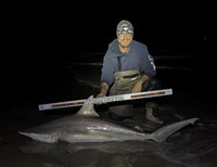 Just Bitten Shark Fishing Team - Walter Colton