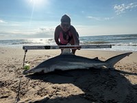 Team JackWagon - Kimberly Collier