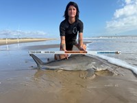 FISH ON CUSTOM LEADERS - Kiah Diaz