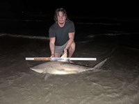 Low Tide Mafia - Wade Boatright