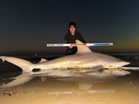 FISH ON CUSTOM LEADERS - Kiah Diaz