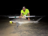 Team JackWagon - Blair Clendennen