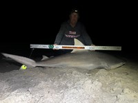 Team JackWagon - Kimberly Collier