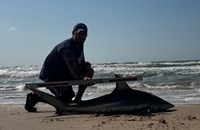Just Bitten Shark Fishing Team - Walter Colton