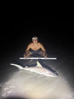 SharkFeenz - Cameron Hern