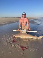 Low Tide Mafia - Wade Boatright