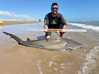 FISH ON CUSTOM LEADERS - Dylan  Smith 