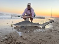 Team JackWagon - Kimberly Collier