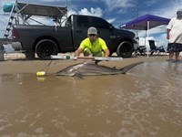 Team JackWagon - Blair Clendennen