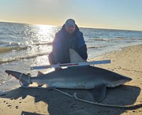 Rodeo Heroes - Donnie Tidwell