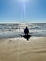 Rodeo Heroes - Steven Tidwell