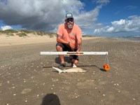 Honor Bound - Allen Carrick