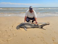 Rodeo Heroes - Donnie Tidwell