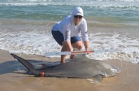 Team Breakaway  - Carol  Cox