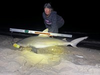 Team JackWagon - Kimberly Collier