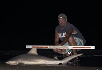 Just Bitten Shark Fishing Team - Walter Colton