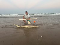 Honor Bound - Allen Carrick