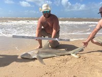 In Debt Fishing - Bobby Green