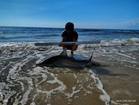 Shark at the Moon - Erik Schneider