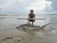 Shark at the Moon - Erik Schneider