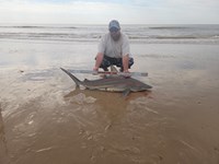 Rodeo Heroes - Donnie Tidwell