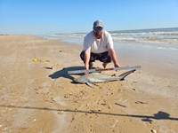 Rodeo Heroes - Donnie Tidwell