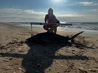 Team JackWagon - Kimberly Collier