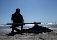 Just Bitten Shark Fishing Team - Walter Colton