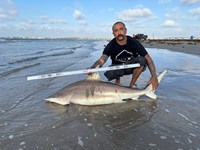 SharkFeenz - Christopher  Turner