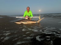 Just Bitten Shark Fishing Team - Katie  Dickey