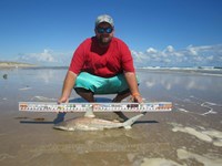 Rodeo Heroes - Donnie Tidwell