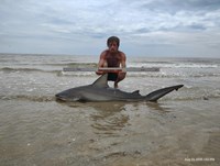 Shark at the Moon - Erik Schneider