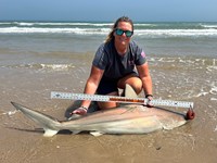 KASH FISHING - Ashley Meadows