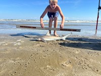 In Debt Fishing - Cayden Jones