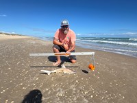 Honor Bound - Allen Carrick