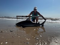 Team JackWagon - Kimberly Collier