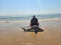 Rodeo Heroes - Donnie Tidwell