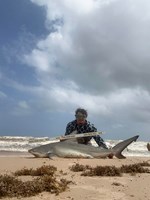 Shark at the Moon - Hunter Caldwell