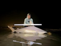 Gulf Gear - Hunter Stevens