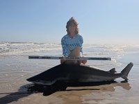 Gulf Gear - Kiah Diaz