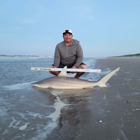 South Texas Shark Stewards - ROME Fuentes