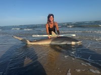 Gulf Gear - Kiah Diaz