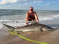 Sharkaholics - Shane Belaire