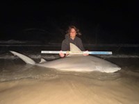 Gulf Gear - Kiah Diaz
