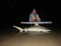Sharkaholics - Kyle Barnes